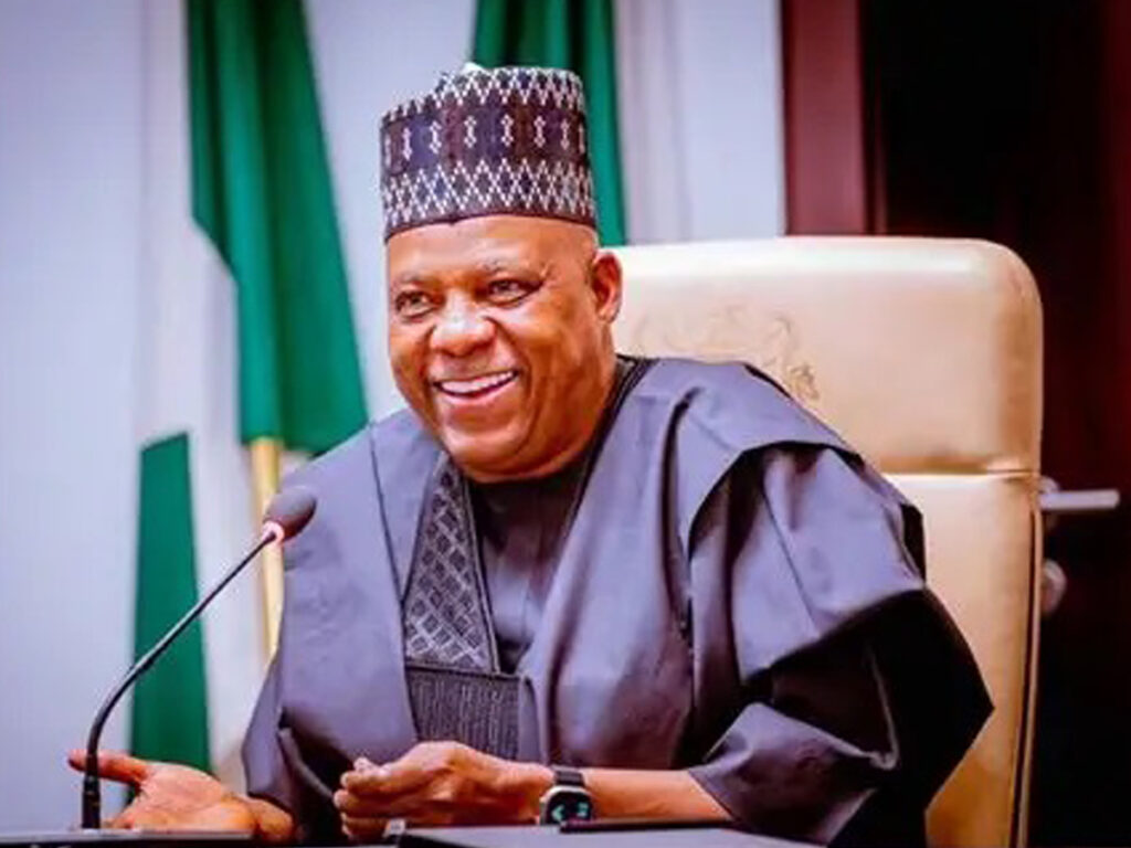 Vice President Kashim Shettima