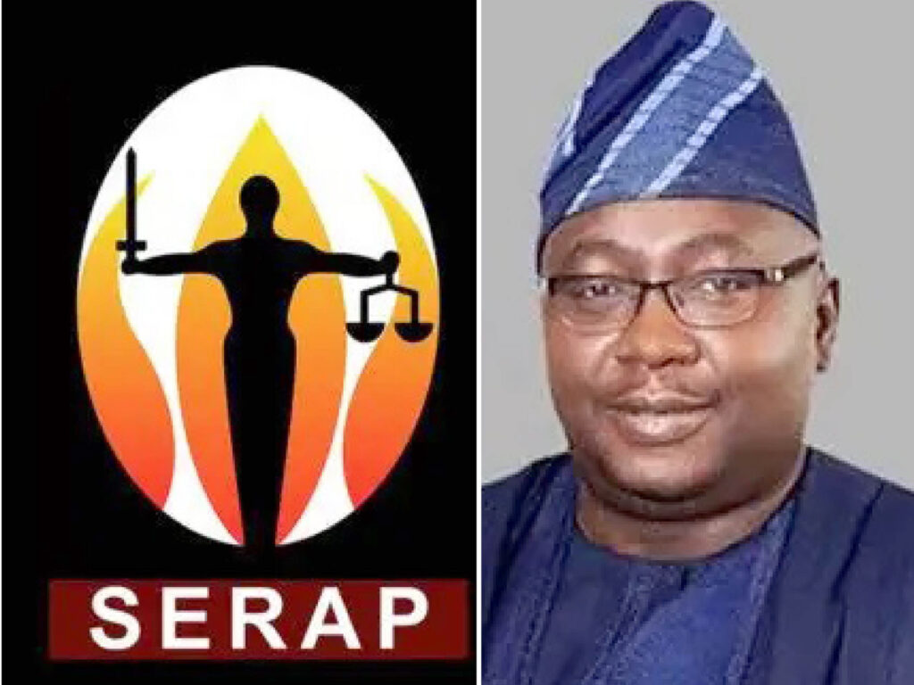SERAP - Minister Adelabu