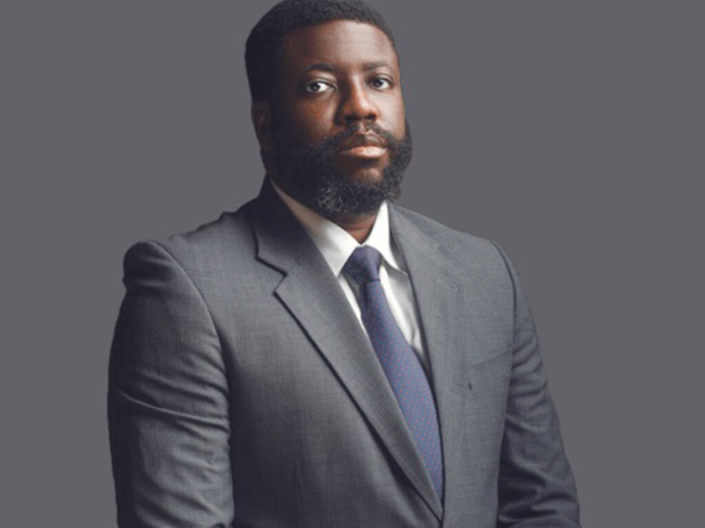 Professor Segun Aina